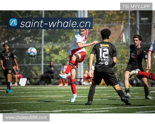 乐鱼体育登录地址提供最新入口让你轻松畅享精彩体育赛事体验