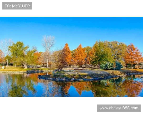 乐鱼官网登录入口手机版下载指南，帮助新手快速注册登录乐鱼平台