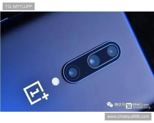 乐鱼手机版官方登录入口全面解析，助你轻松畅玩最新游戏体验