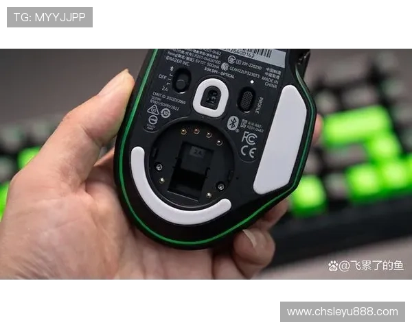 乐鱼电竞专业版官网注册流程与账号安全保障措施详尽介绍