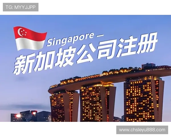 乐鱼登录注册步骤详细介绍新用户快速注册与登录的完整流程解析