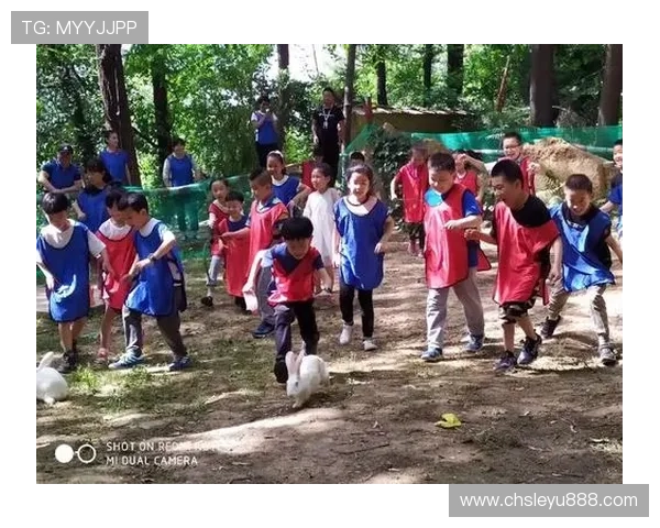 乐鱼真人·中国官方网站详细介绍最新的真人游戏玩法与优惠活动信息