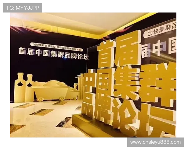 乐鱼官方大巴黎赞助商身份对提升品牌影响力的具体作用详解